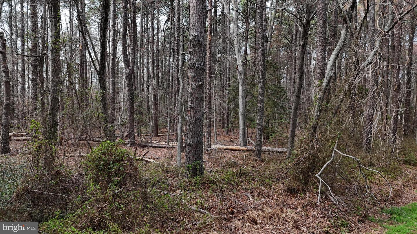 20767 Abell Rd Property Photo 6