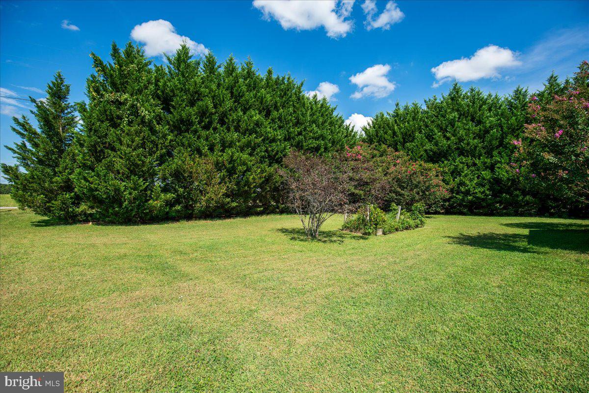 22715 Saint Winifreds Ln Property Photo 12