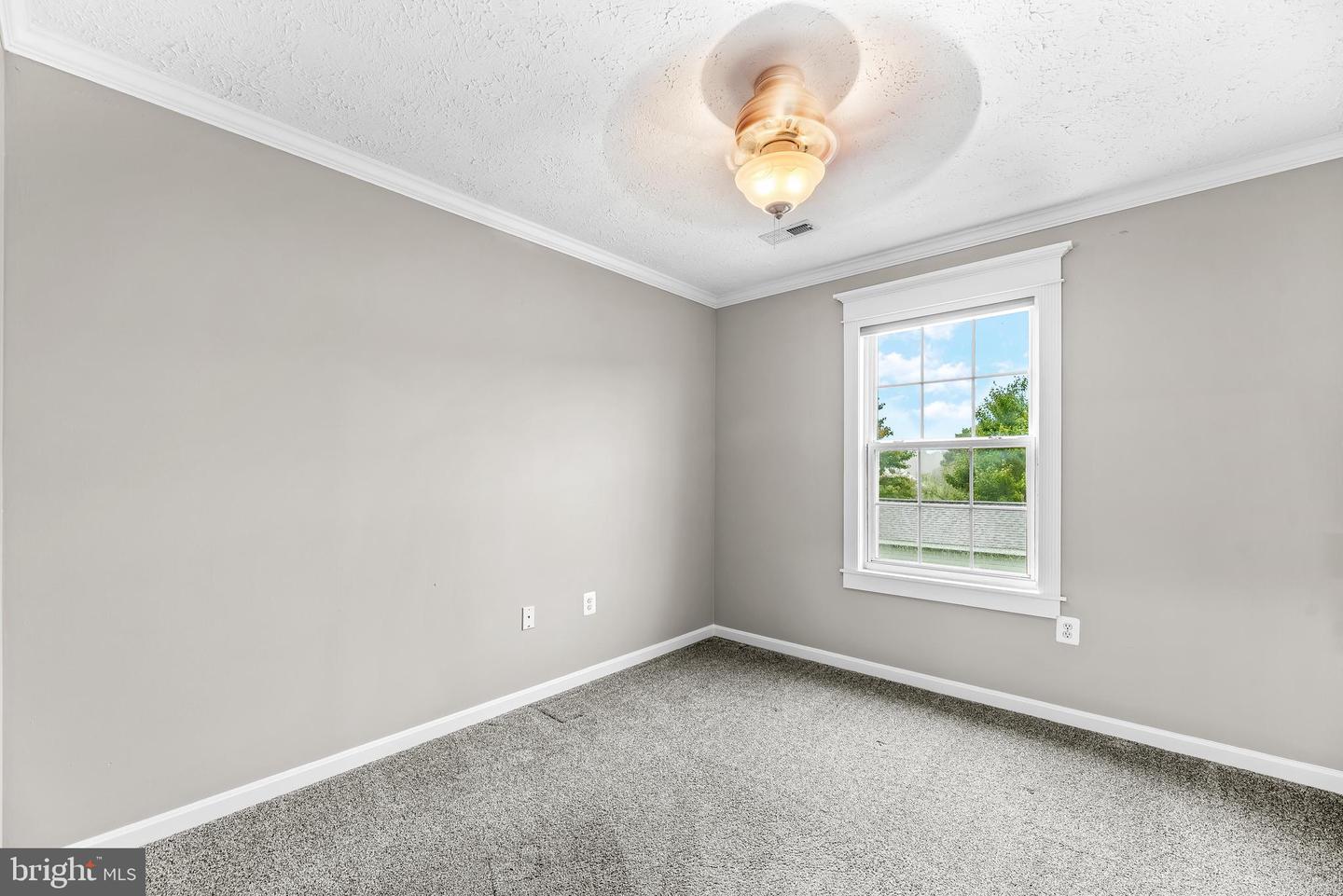 26251 True Grit Ct Property Photo 28