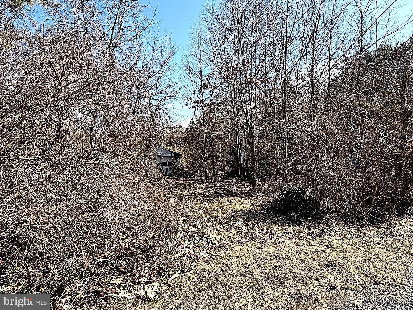 20910 Olen Mattingly Rd Property Photo 2