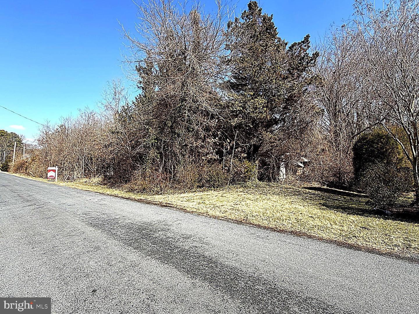 20910 Olen Mattingly Rd Property Photo 4