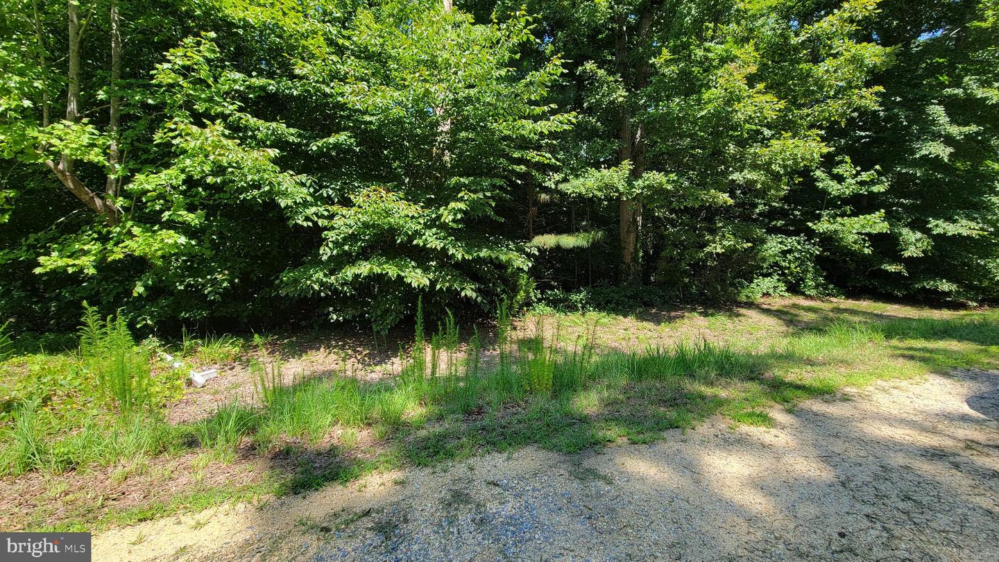 42262 Broyhill Ln Property Photo 1