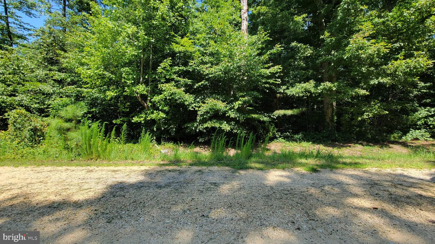 42262 Broyhill Ln Property Photo 3