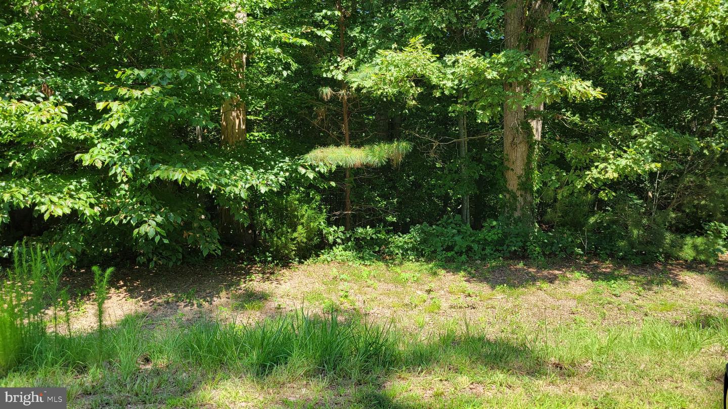 42262 Broyhill Ln Property Photo 4