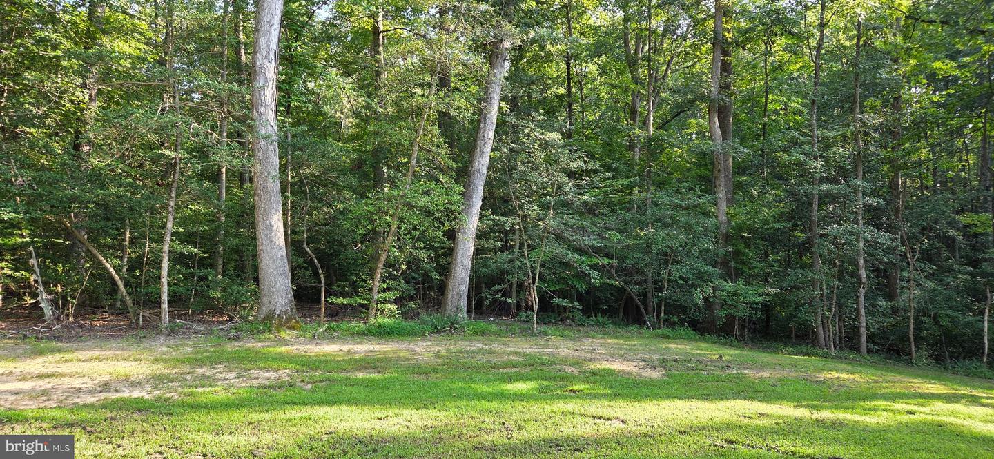 26353 Argentina Dr Property Photo 36