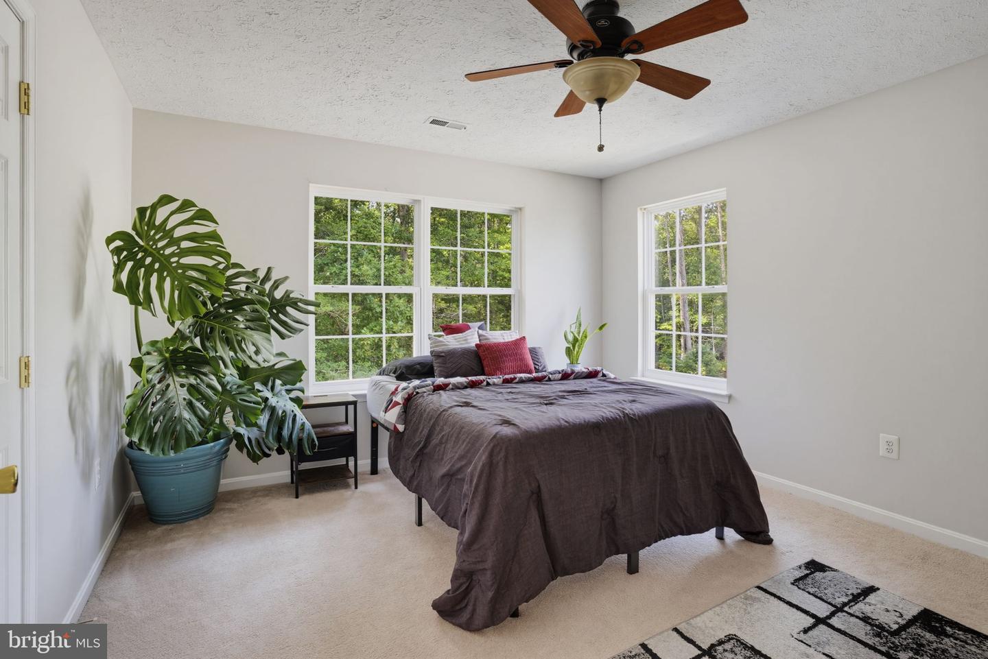 46699 Robert Leon Dr Property Photo 12