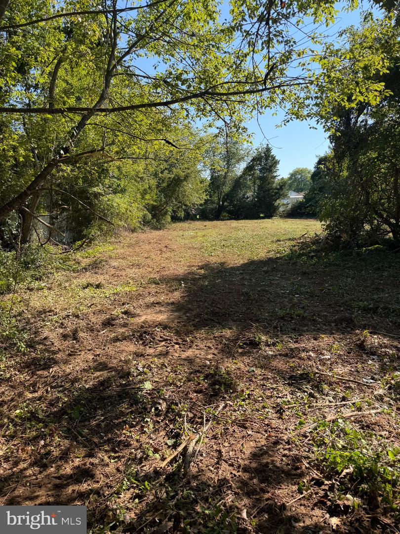 Lake Drive Property Photo 1