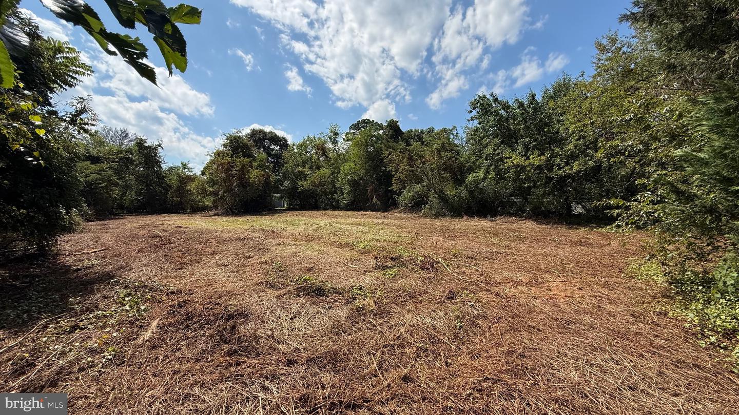 Lake Drive Property Photo 2