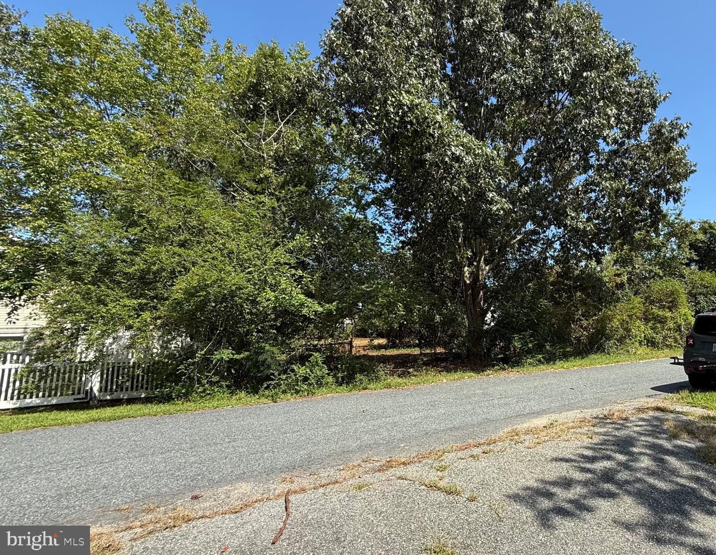 Lake Drive Property Photo 3