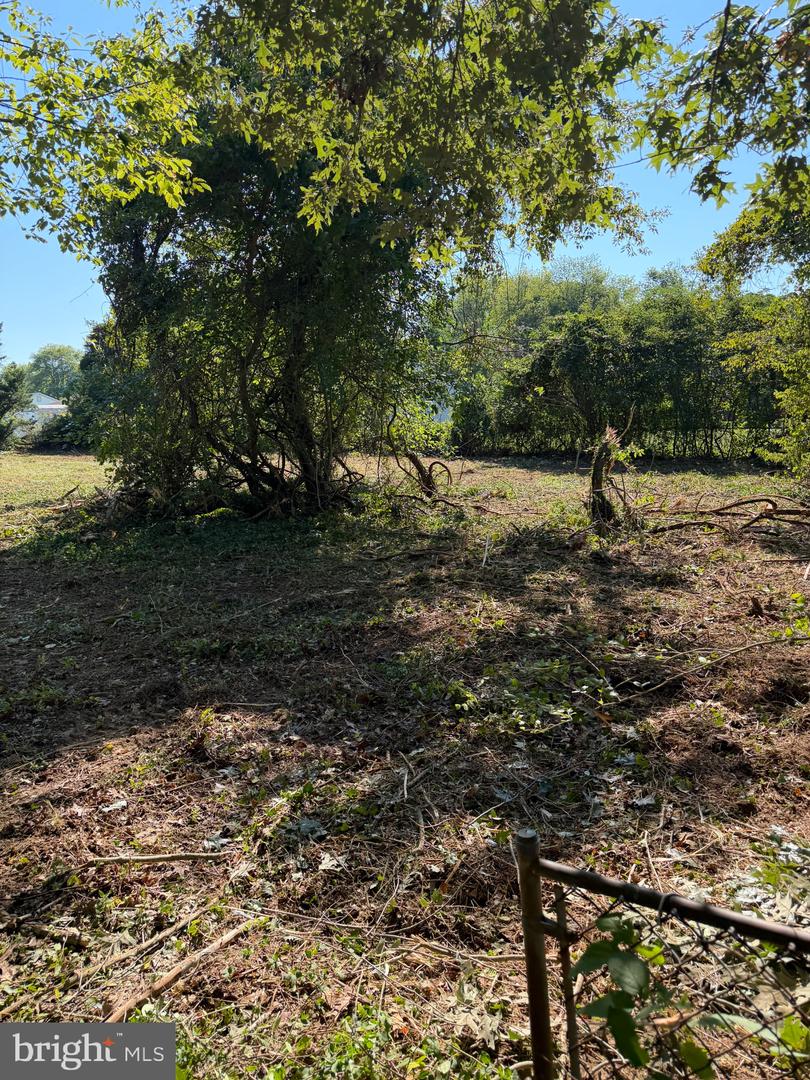 Lake Drive Property Photo 5