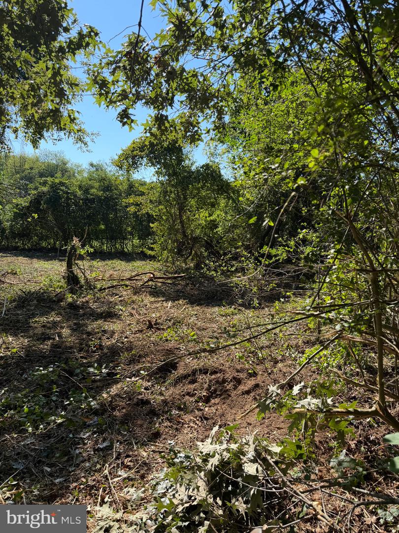 Lake Drive Property Photo 6