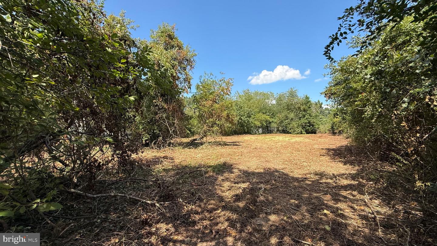 Lake Drive Property Photo 8