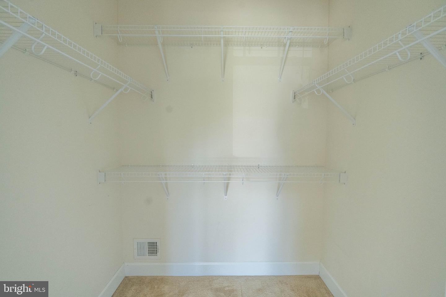 22999 Ringtail Dr Property Photo 18