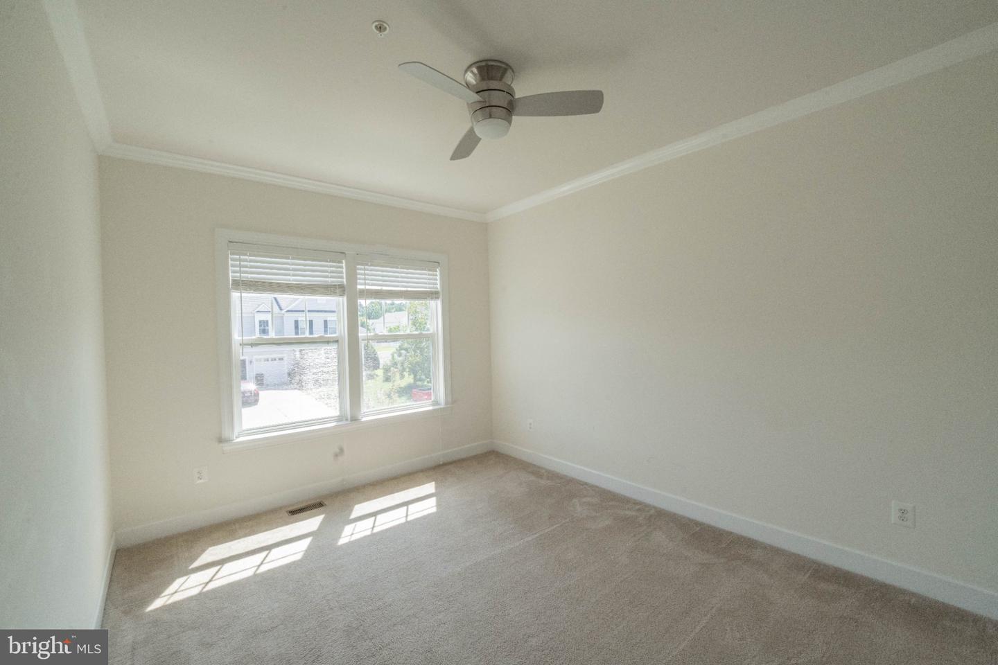 22999 Ringtail Dr Property Photo 23