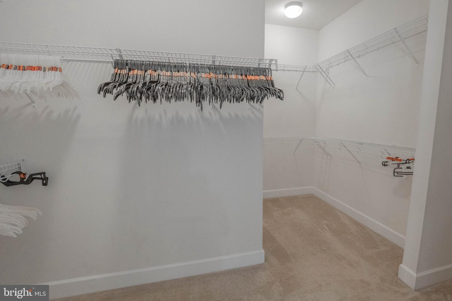 22999 Ringtail Dr Property Photo 32