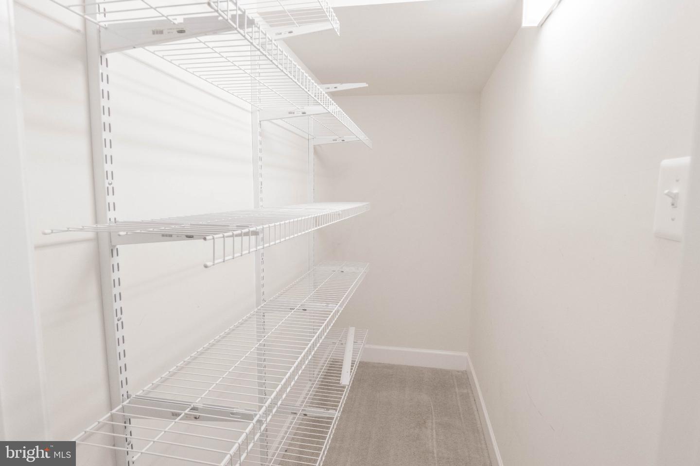 22999 Ringtail Dr Property Photo 35