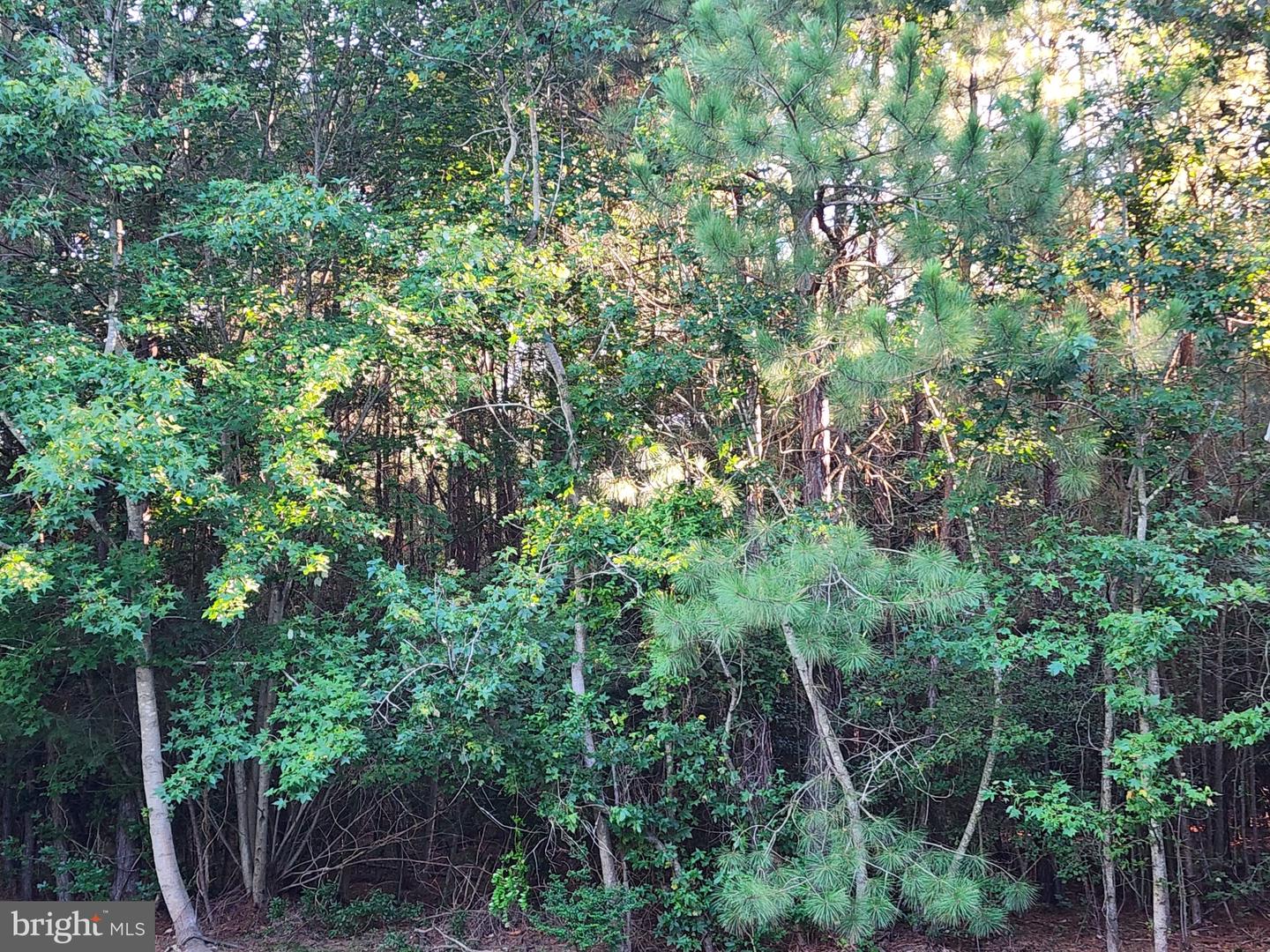 17025 THREE NOTCH RD