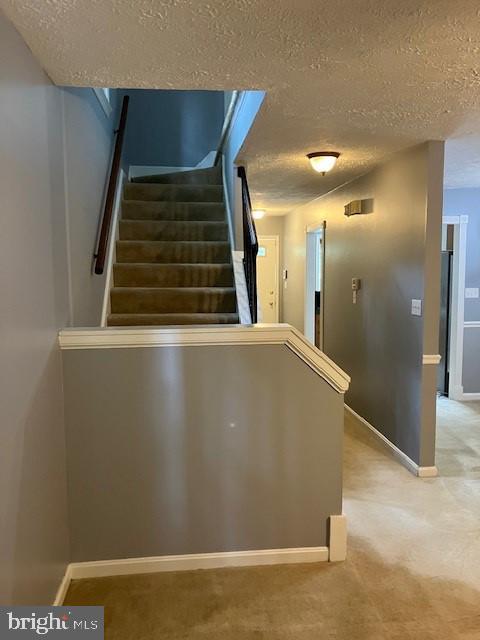 22416 Greenview Ct Property Photo 5