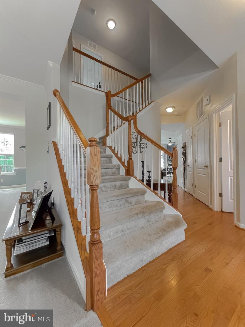 46834 Jillian Grace Ct Property Photo 4