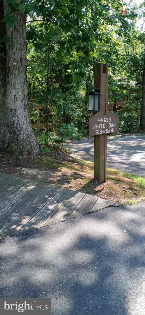44693 White Oak Ct #518 Property Photo 2