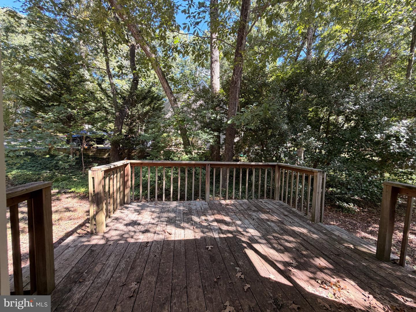 23236 Hickory Nut Dr Property Photo 9