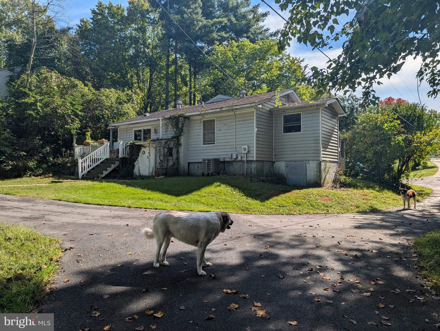 44372 Clarkes Landing Rd Property Photo 24
