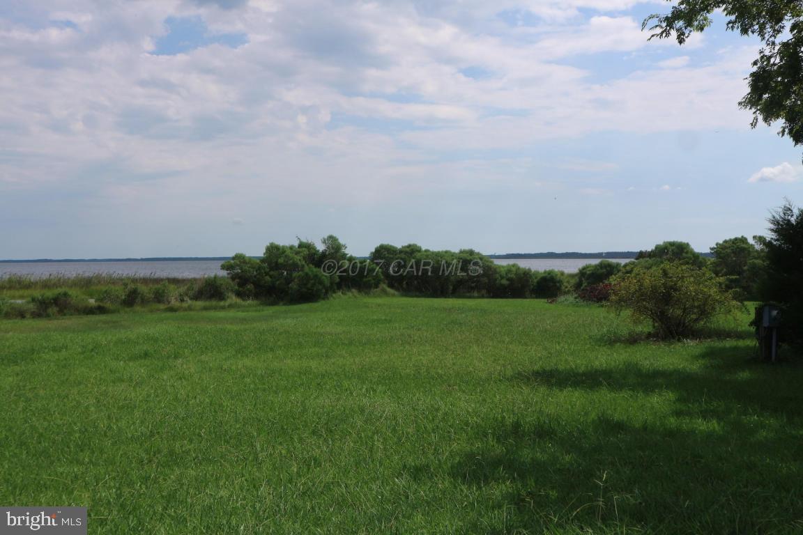 11646 Long Point Rd Property Photo 3