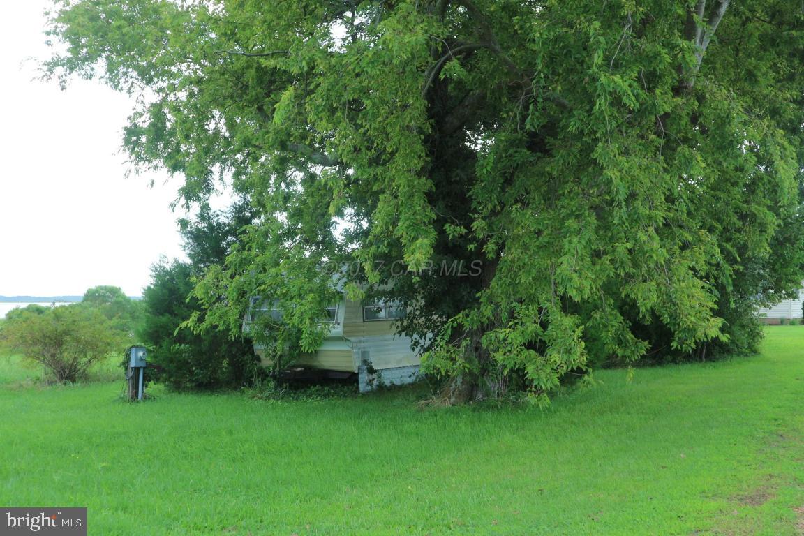 11646 Long Point Rd Property Photo 5