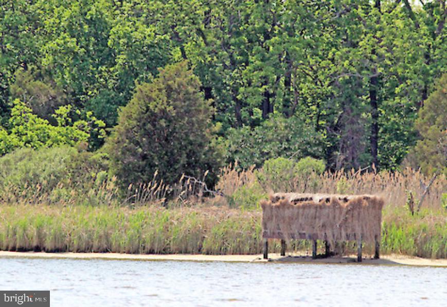 3336 Marsh Rd Property Photo 1