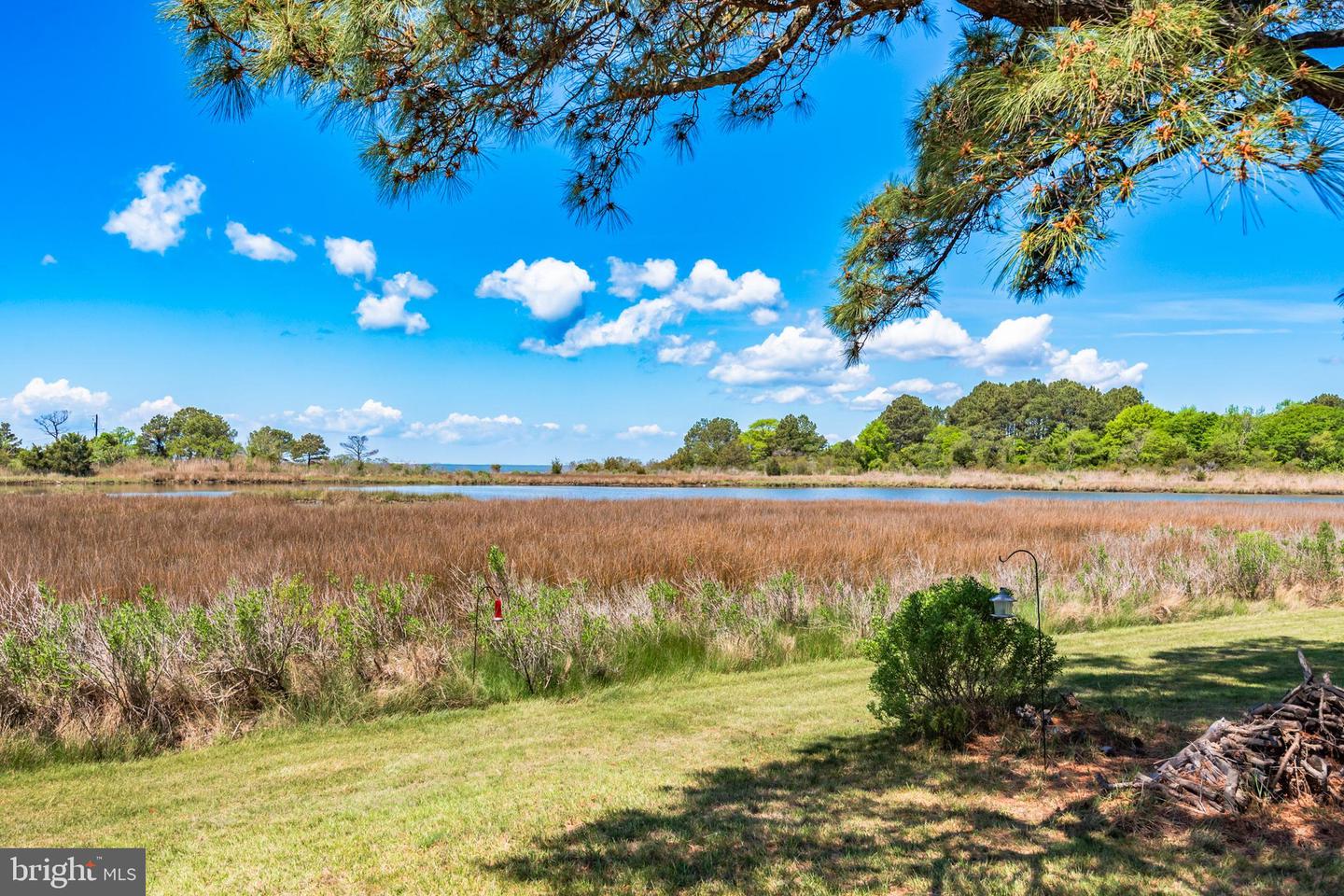 23212 Haines Point Rd Property Photo 3