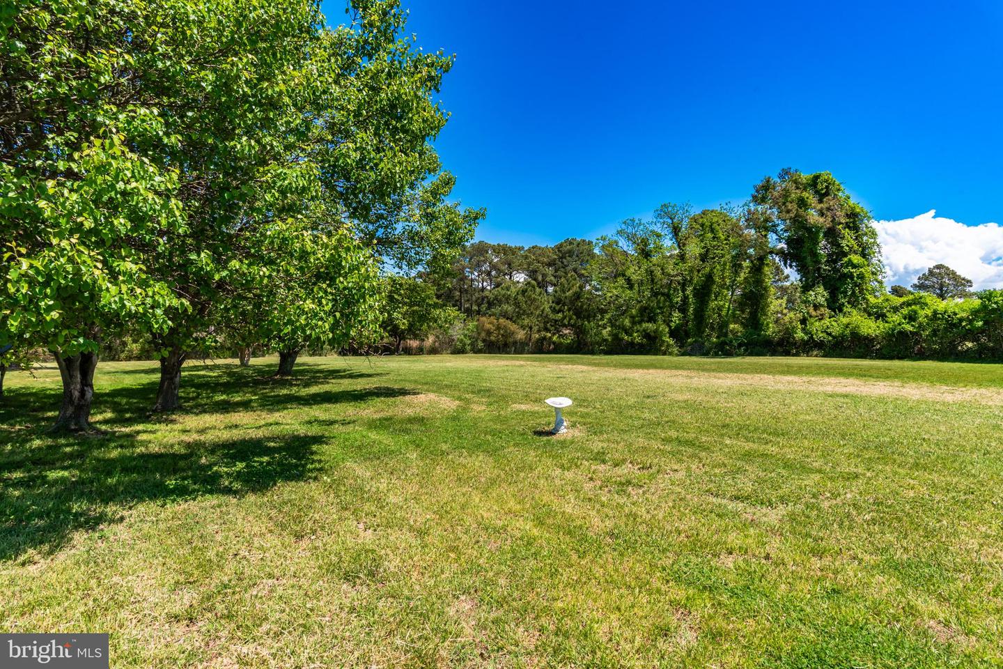 23212 Haines Point Rd Property Photo 38