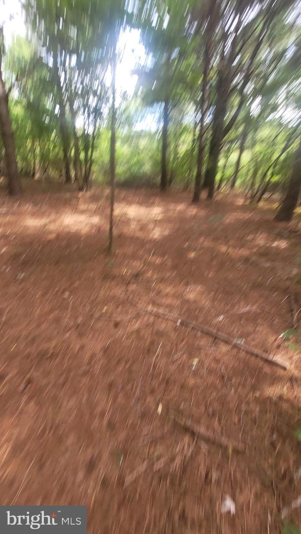 10028 N School Rd Property Photo 3