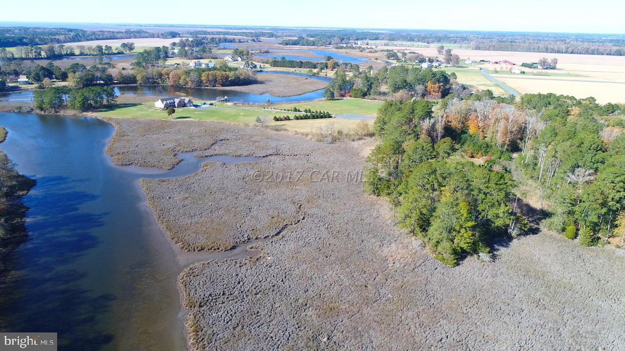 12485 Mallard Ln Property Photo 3
