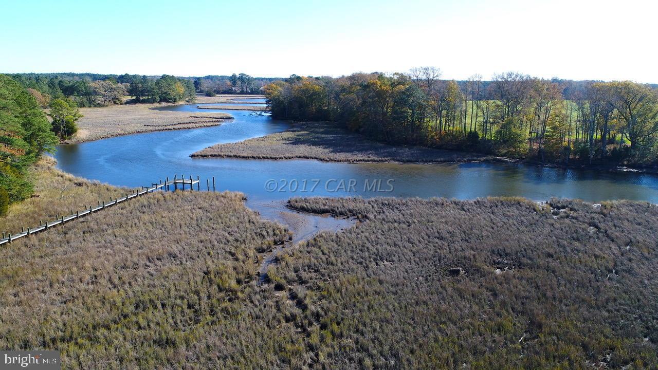 12485 Mallard Ln Property Photo 5