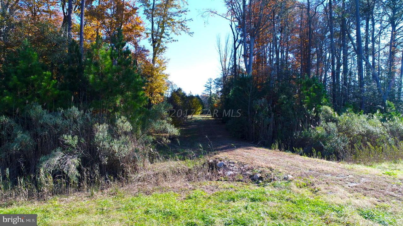 12485 Mallard Ln Property Photo 9