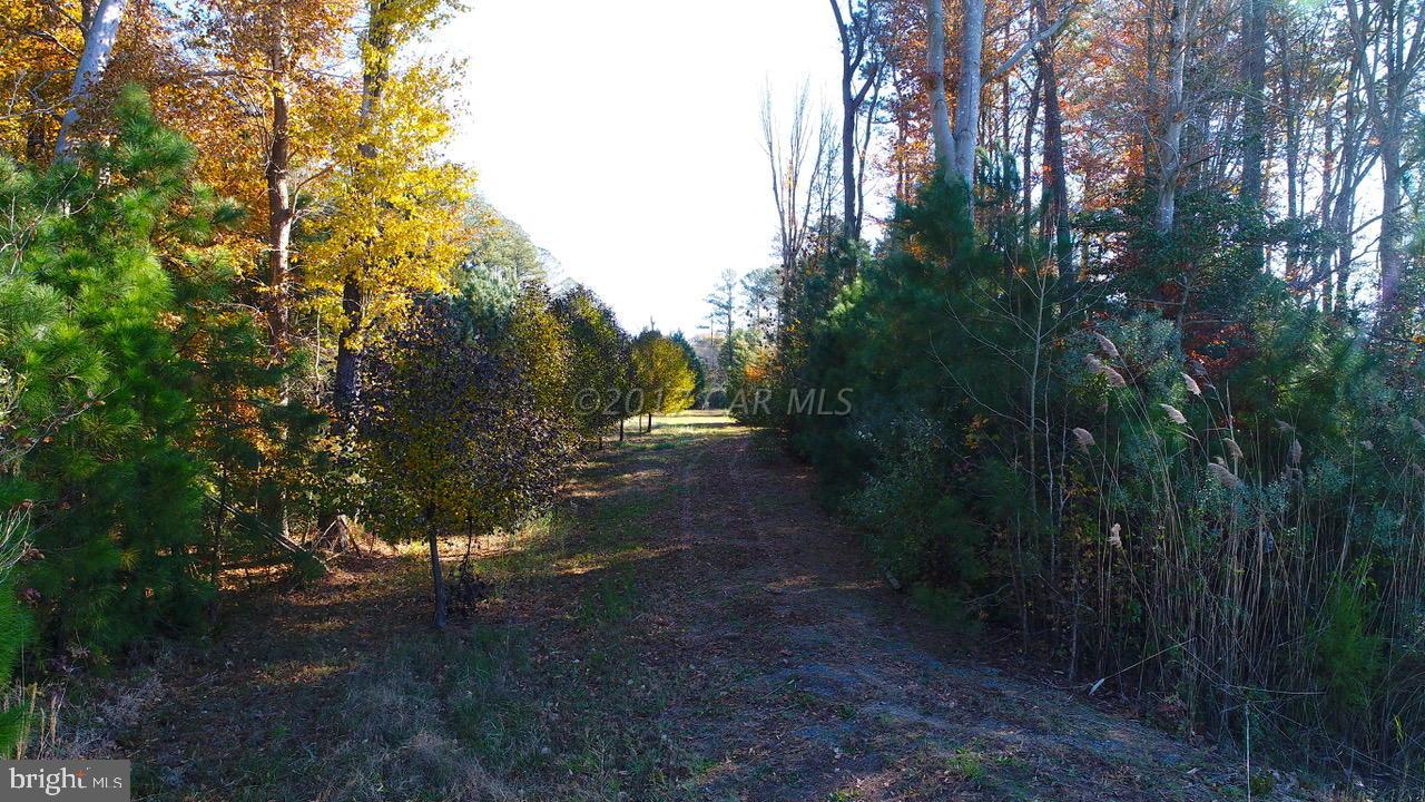 12485 Mallard Ln Property Photo 10