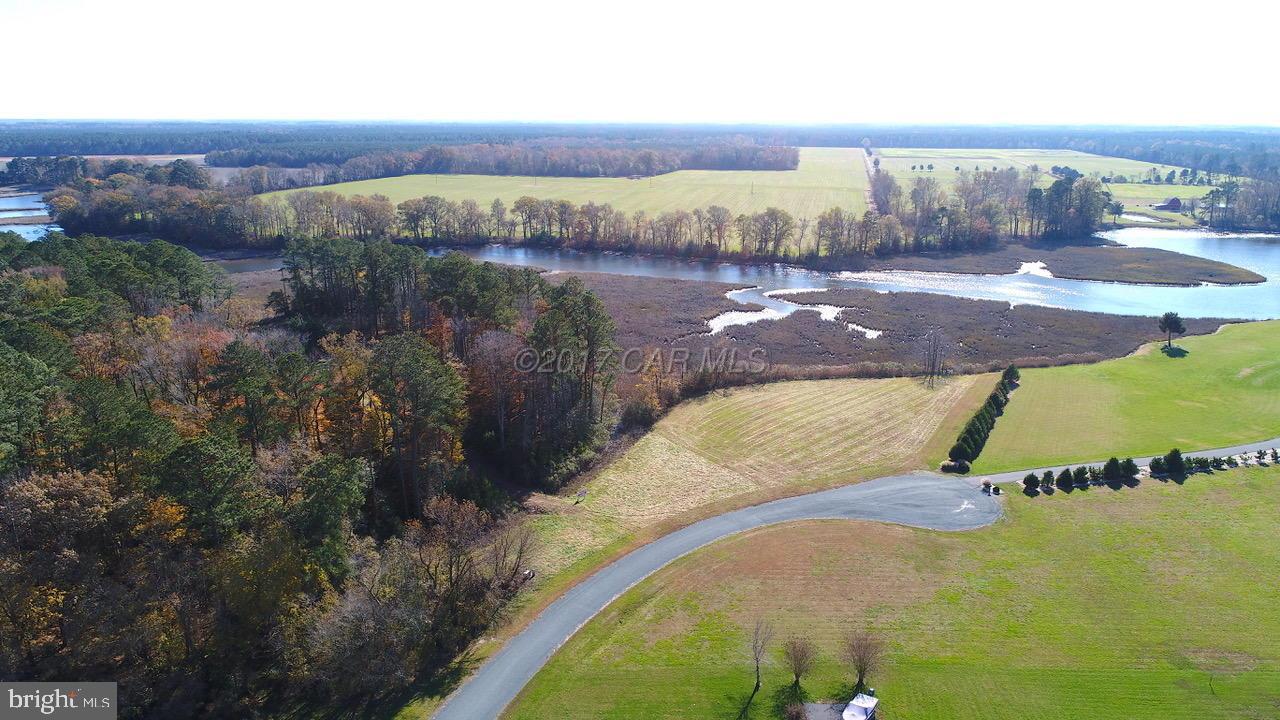 12485 Mallard Ln Property Photo 11