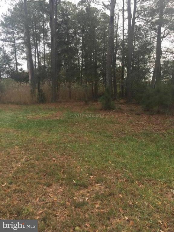 12485 Mallard Ln Property Photo 12