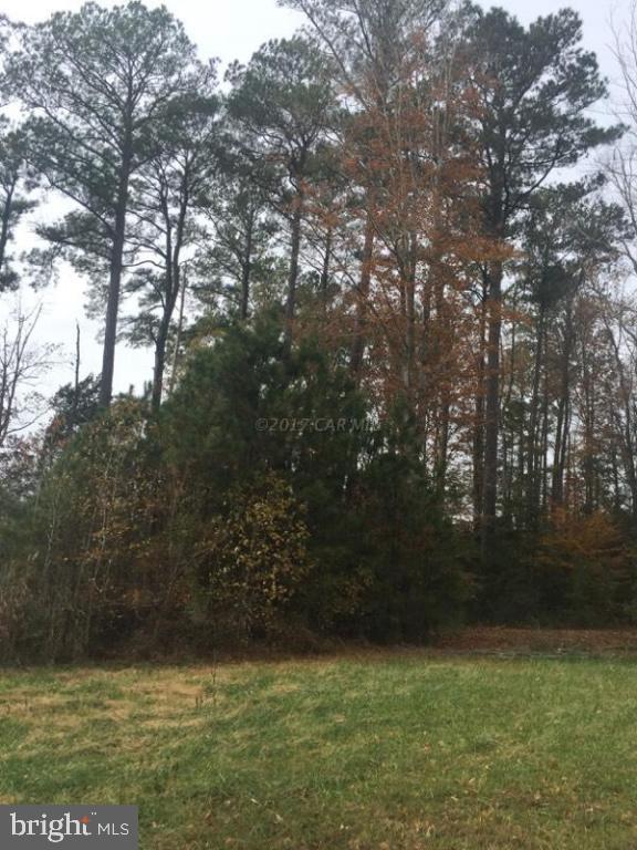 12485 Mallard Ln Property Photo 13