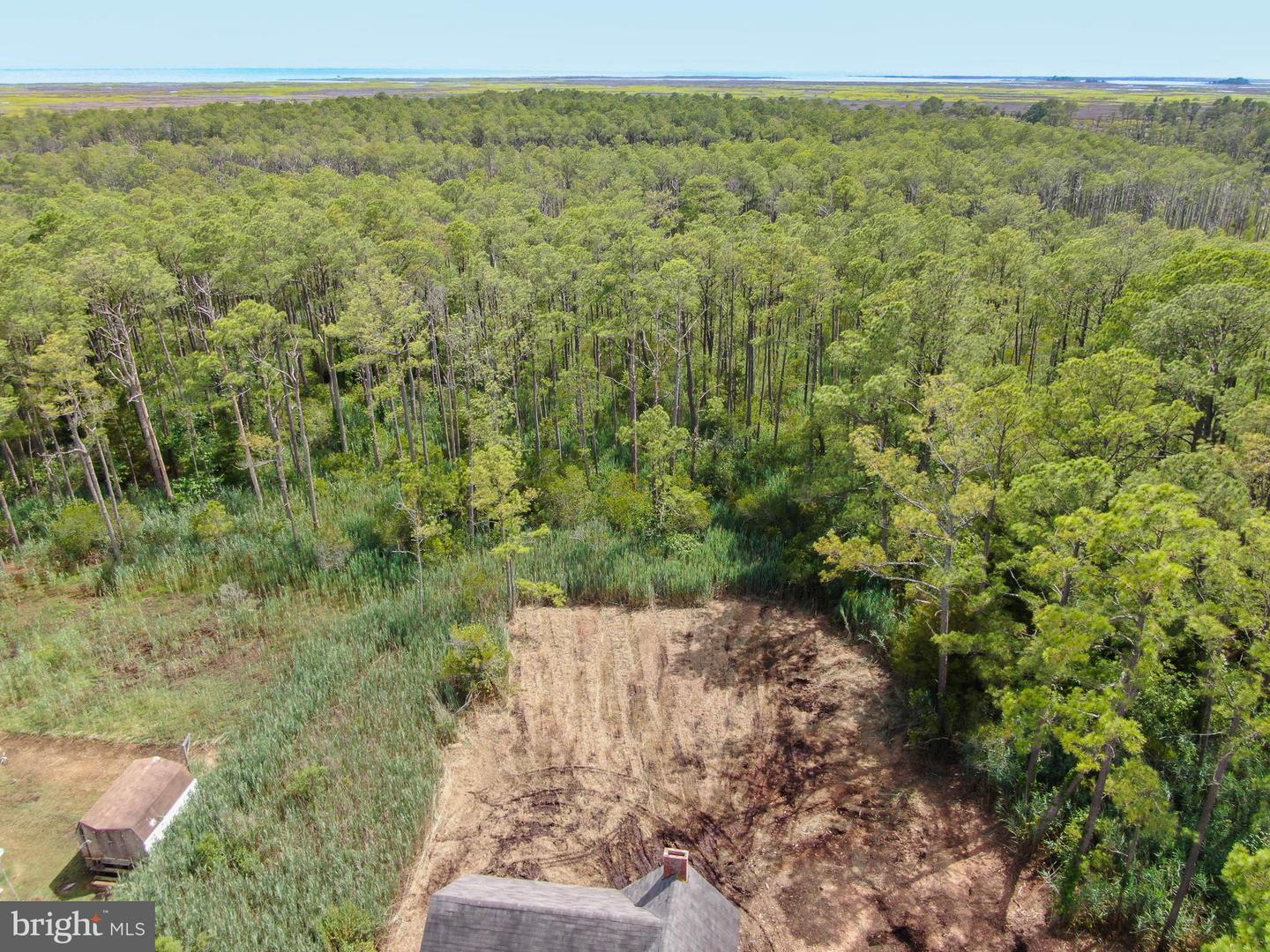 2746 Calvary Property Photo 12
