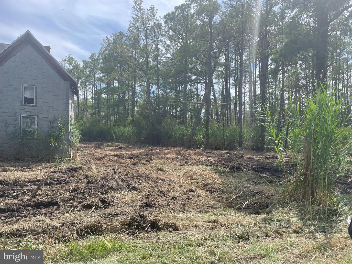 2746 Calvary Property Photo 16