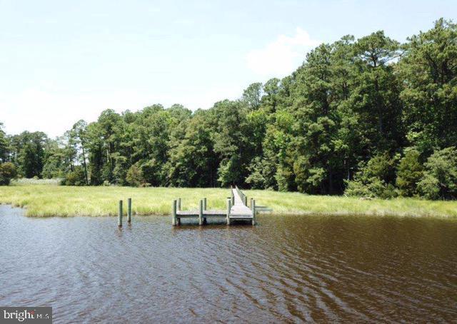 12509 Mallard Ln Property Photo 4