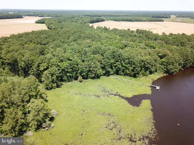 12509 Mallard Ln Property Photo 14