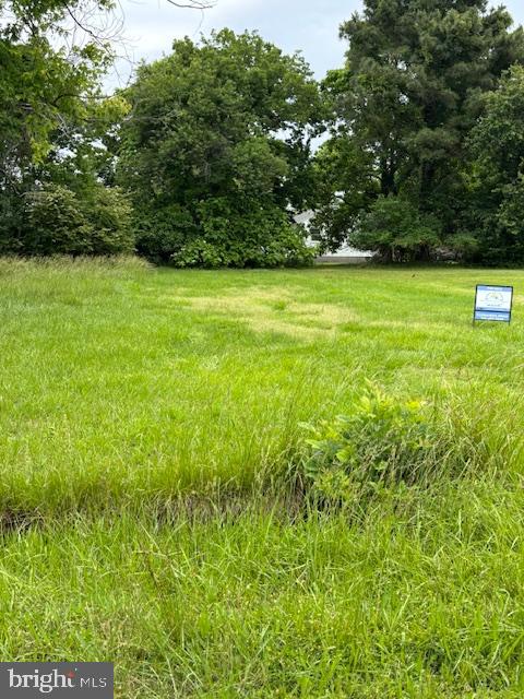 Parcel 210 Melvin White Rd Property Photo 1