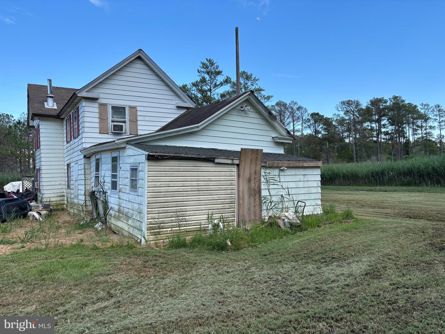 2900 Ape Hole Rd Property Photo 4