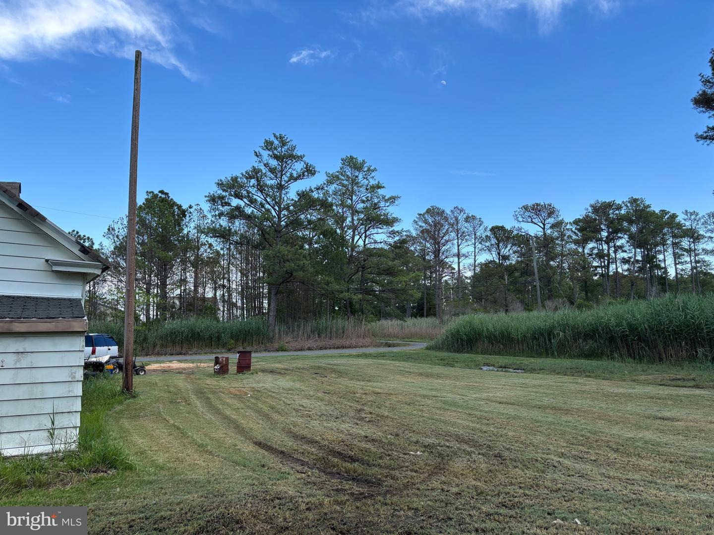 2900 Ape Hole Rd Property Photo 5