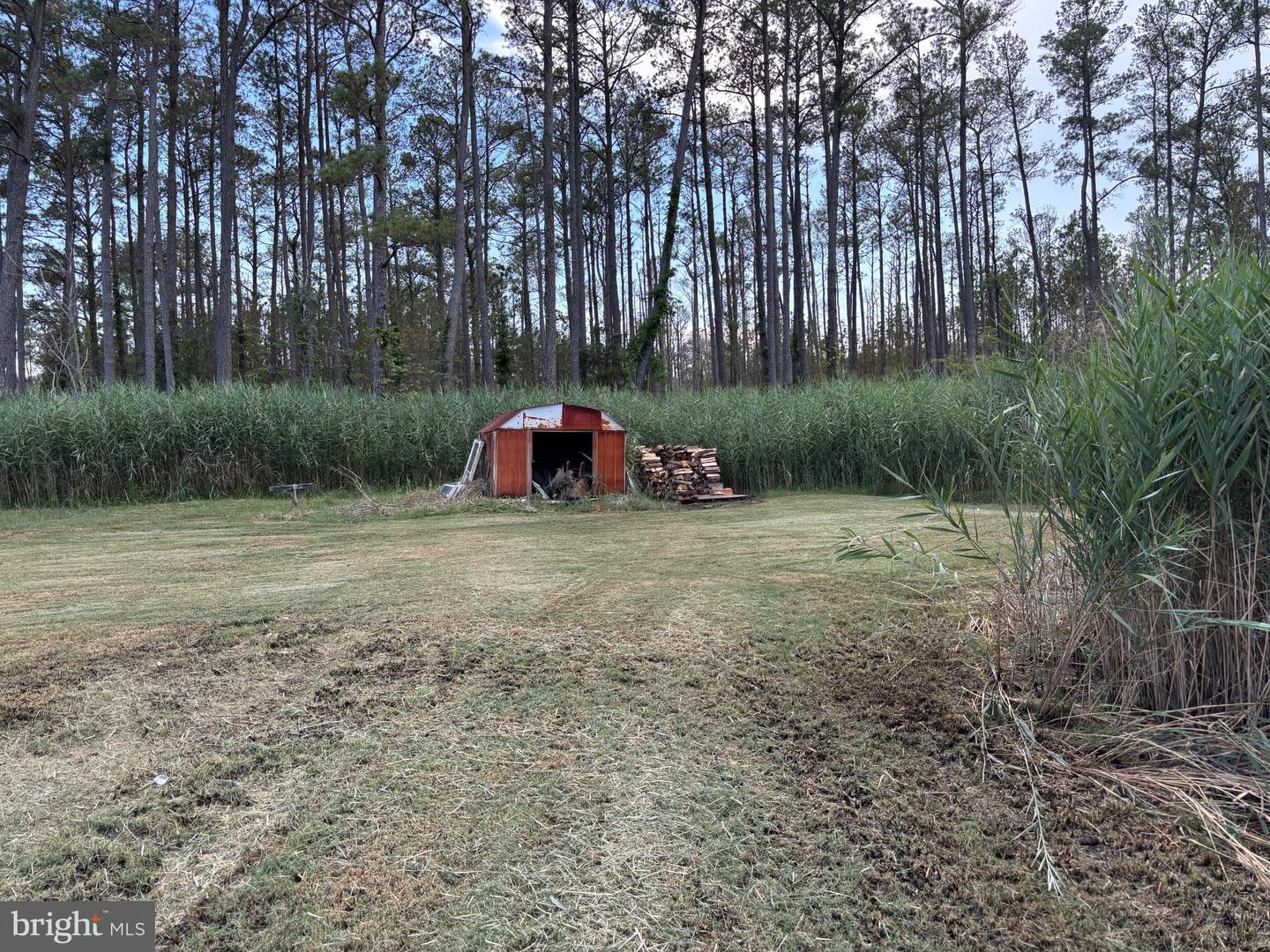 2900 Ape Hole Rd Property Photo 6