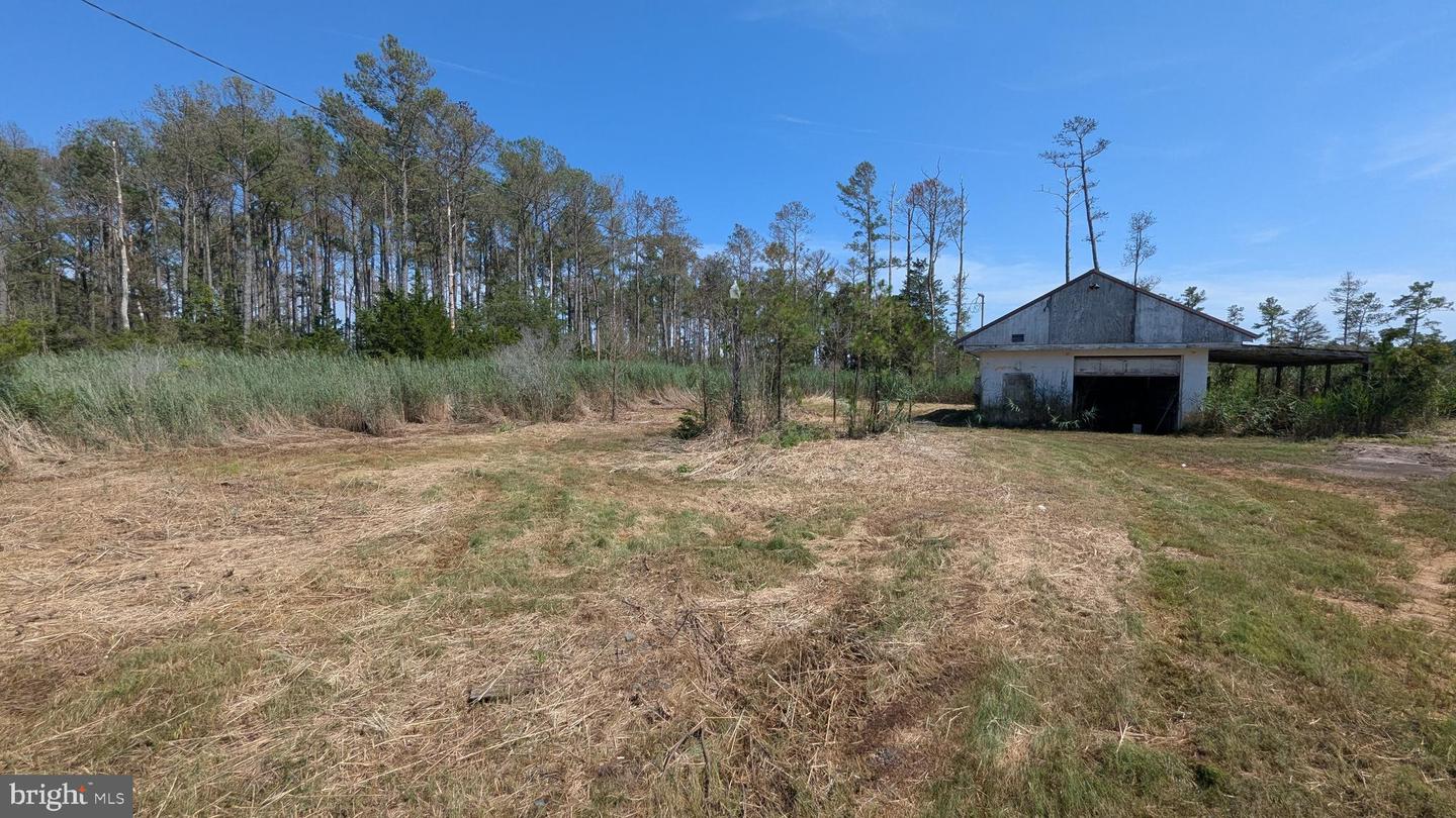 3012 William Maddox Rd Property Photo 4