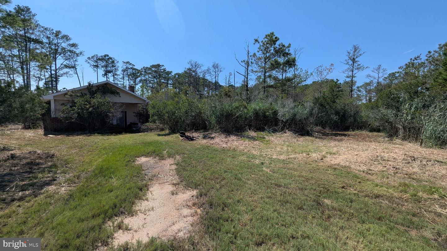 3012 William Maddox Rd Property Photo 5
