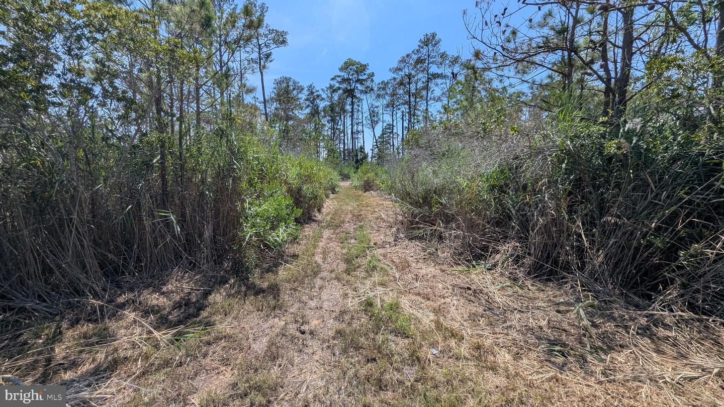 3012 William Maddox Rd Property Photo 7